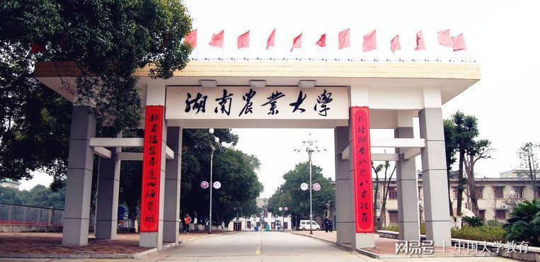 2022年湖南农业大学成考怎么报名