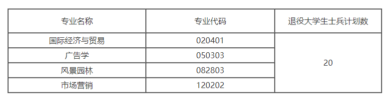 武汉设计工程学院.png