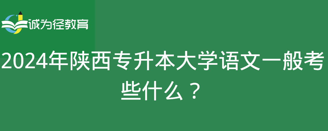 2024年陕西专升本大学语文一般考些什么？