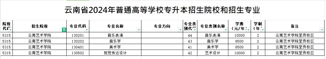 2024年云南艺术学院专升本招生专业