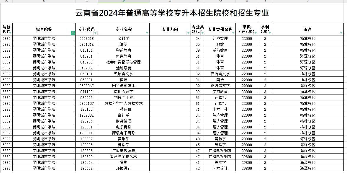 2024年昆明城市学院专升本招生专业