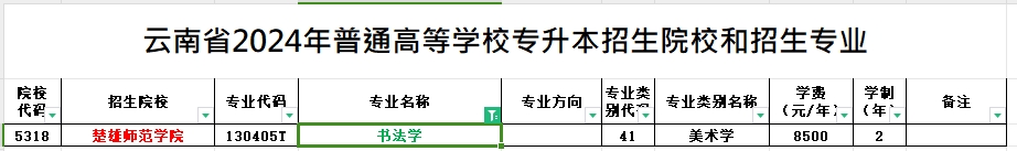 2024年云南专升本书法学专业可报考院校汇总