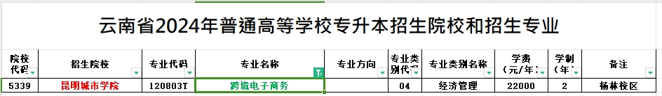 2024年云南专升本跨境电子商务专业可报考院校汇总