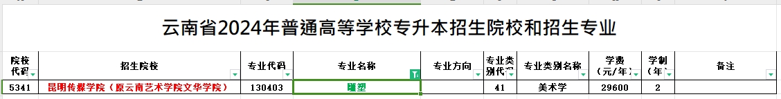 2024年云南专升本雕塑专业可报考院校汇总