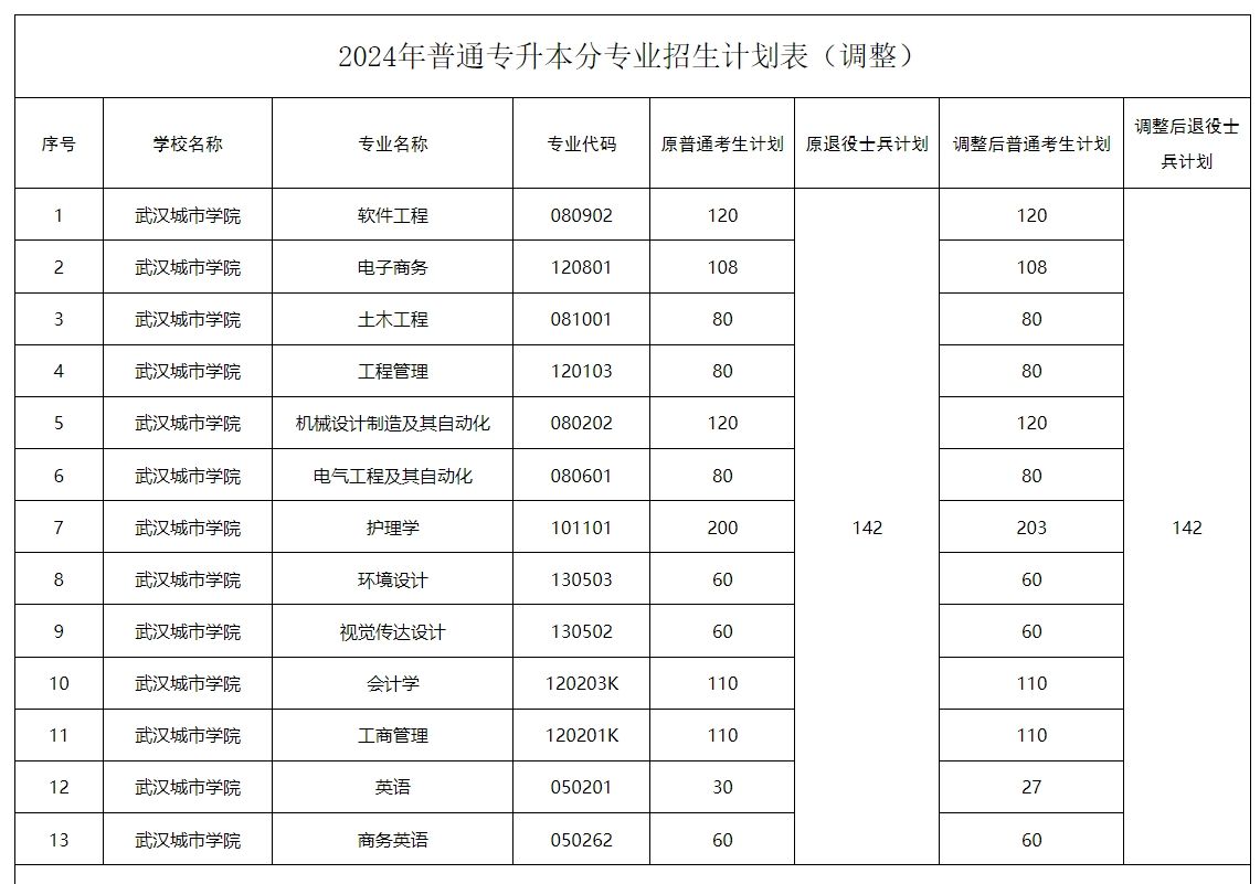 2024年武汉城市学院普通专升本分专业招生计划表(调整)