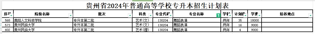 2024年贵州舞蹈表演专升本可报考院校