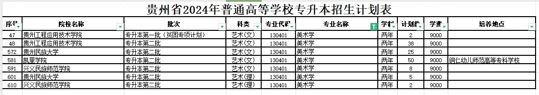 2024年贵州美术学专升本可报考院校