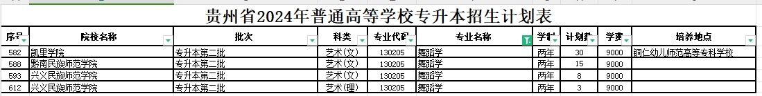 2024年贵州舞蹈学专业专升本可报考院校