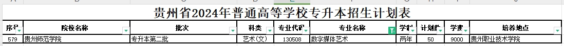 2024年贵州数字媒体艺术专业专升本可报考院校