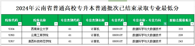 2024年云南专升本普通批次数据科学与大数据技术专业各院校最低分