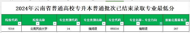 2024年云南专升本普通批次缅甸语专业各院校最低分