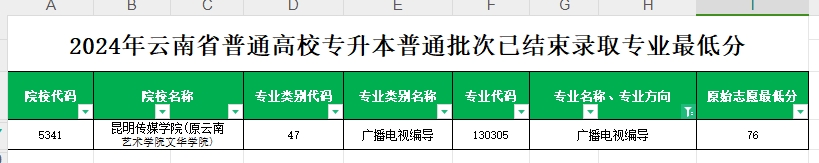 2024年云南专升本普通批次广播电视编导专业各院校最低分