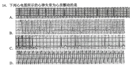 2024年十月自学考试03007急救护理学考试试题