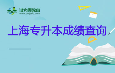 上海应用技术大学2023年专升本(高本贯通)成绩查询入口